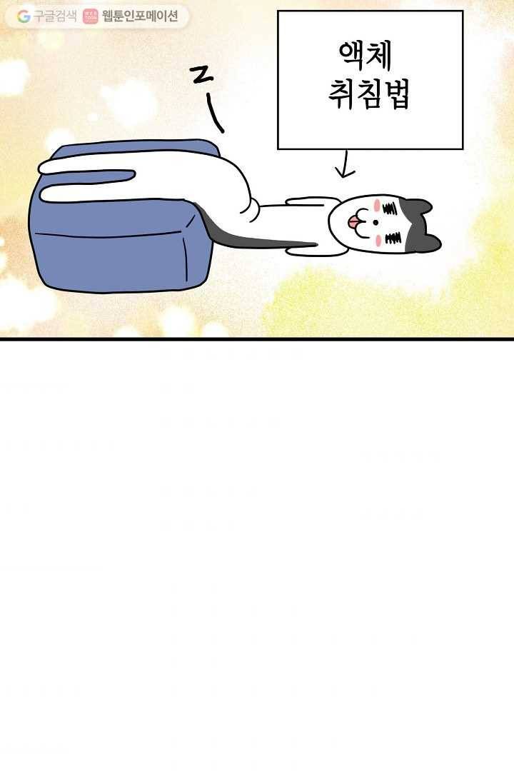 넘 많은 고양! 020화 10