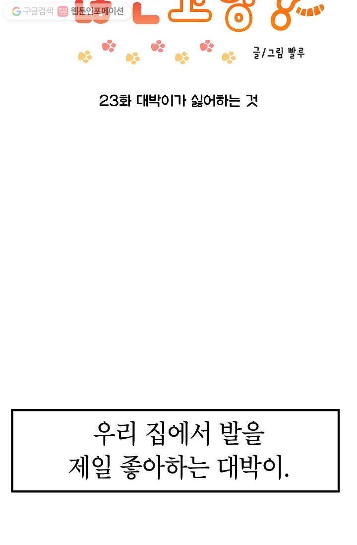 넘 많은 고양! 024화 2