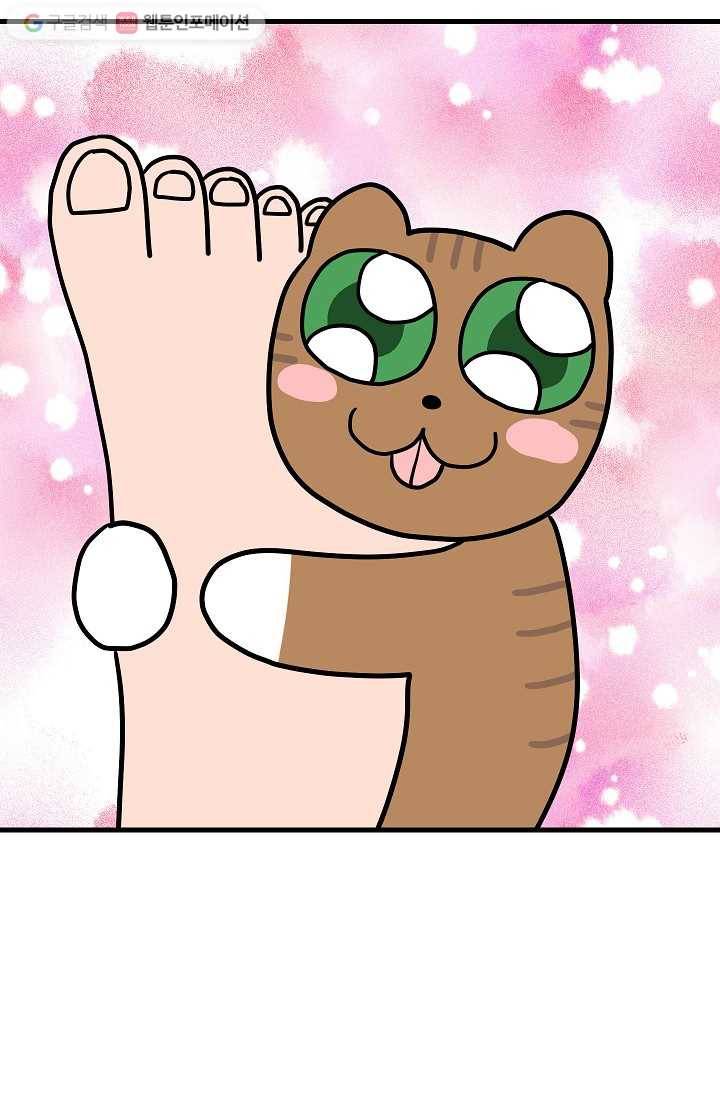 넘 많은 고양! 024화 3