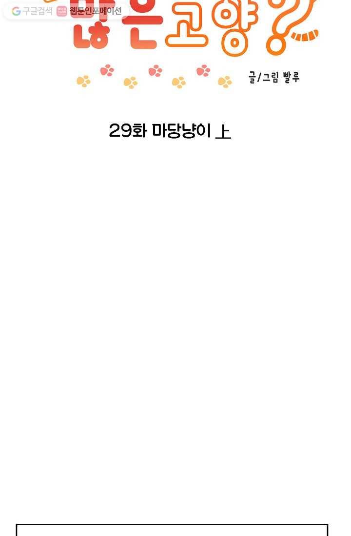 넘 많은 고양! 030화 2