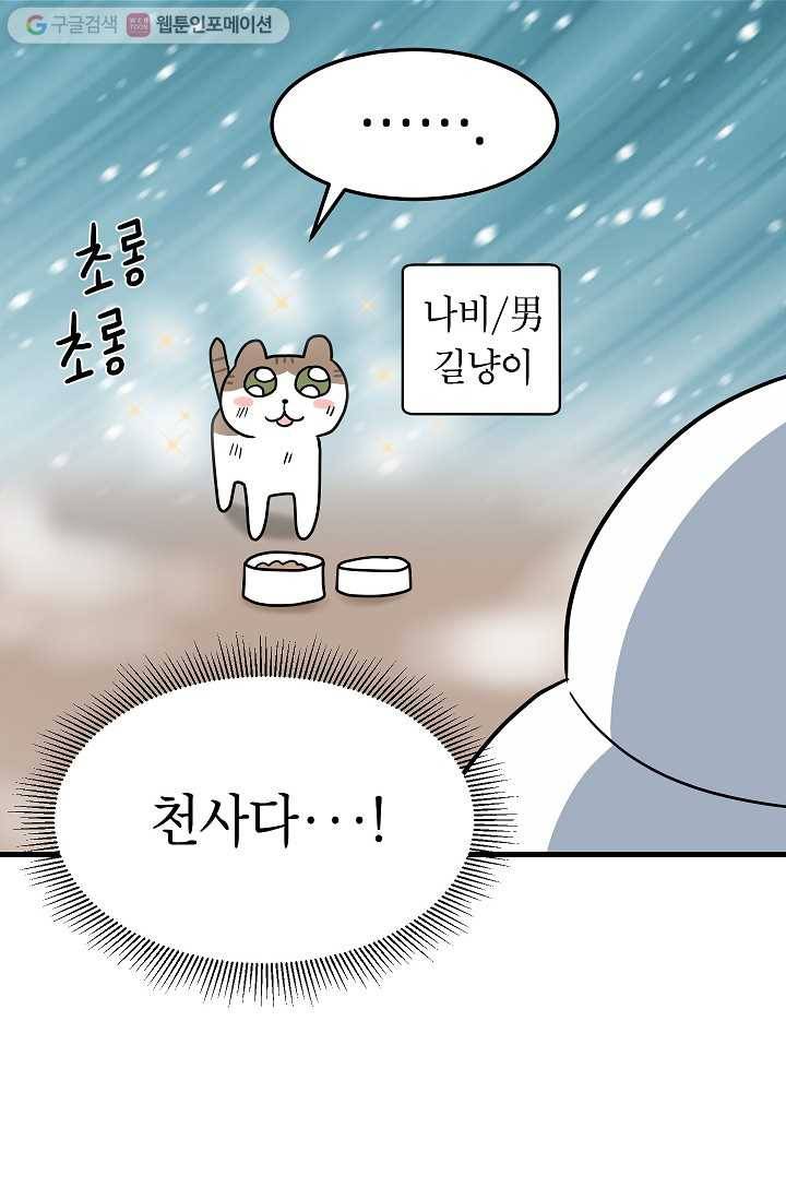 넘 많은 고양! 030화 8