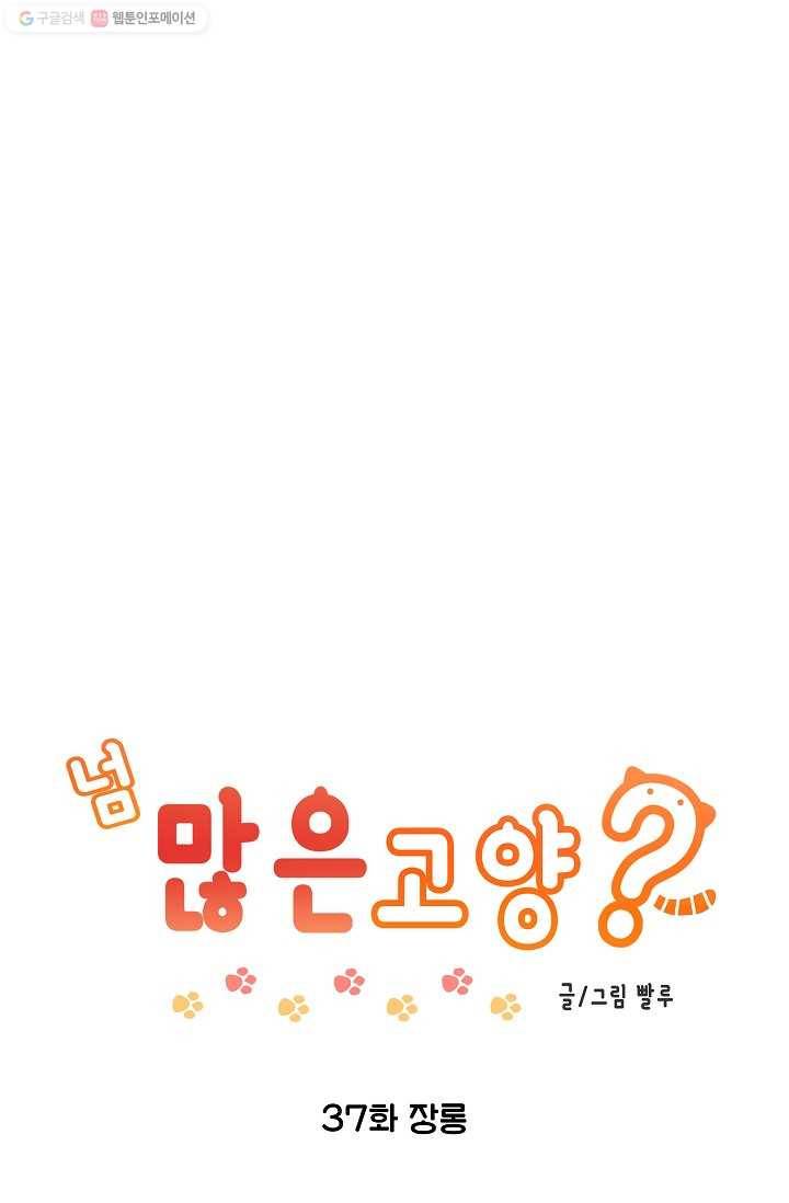 넘 많은 고양! 038화 1