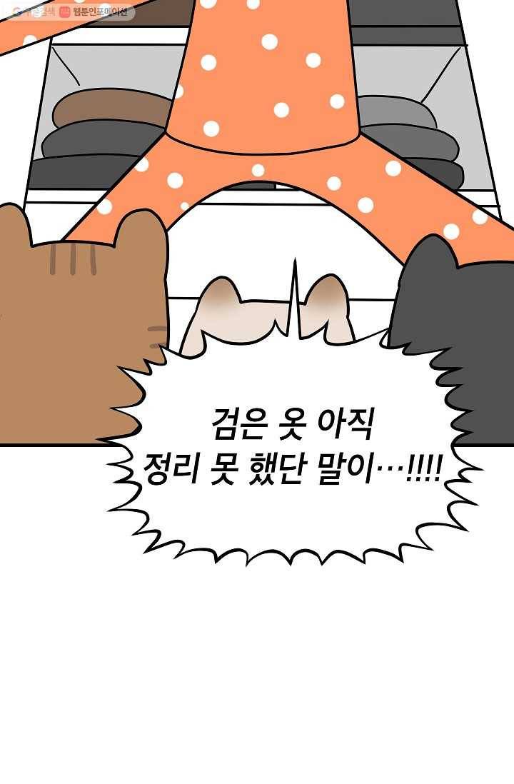 넘 많은 고양! 038화 7