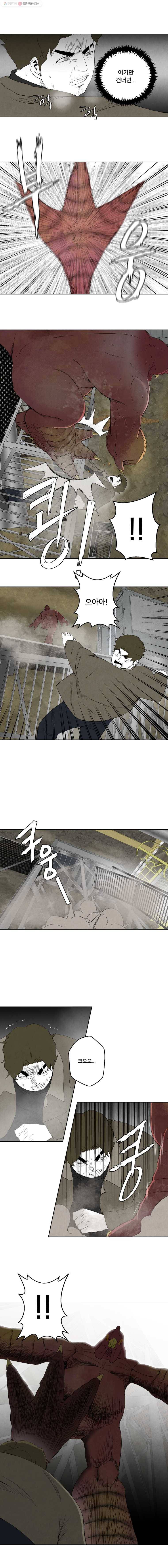 조류공포증 53화 8