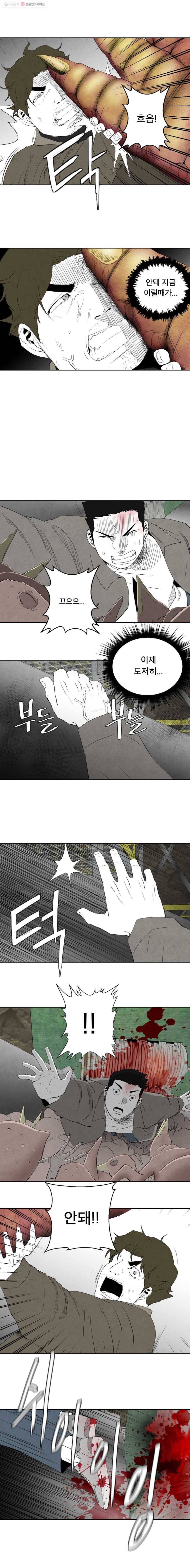 조류공포증 53화 9