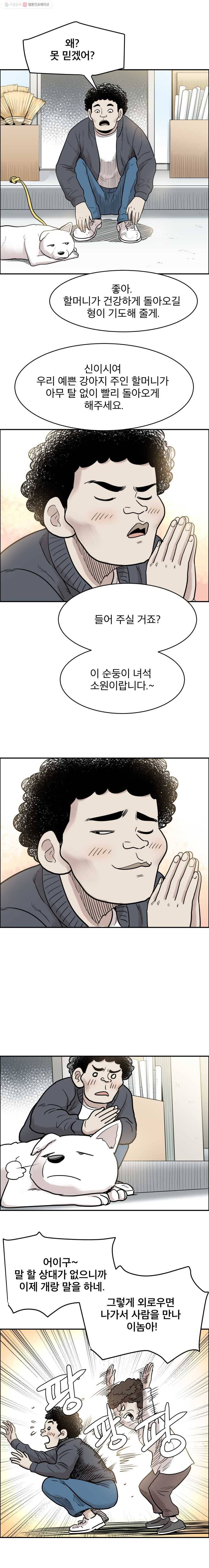 닥터 파인의 하루 44화 삶의 책임 3
