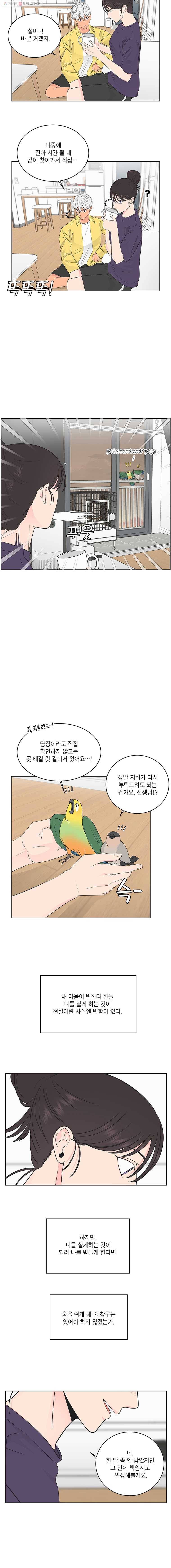 그녀의 앵무새 29화 리프레임(1) 2