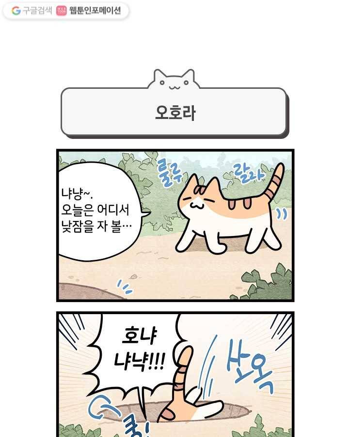 지구의 주인은 고양이다 25화 1