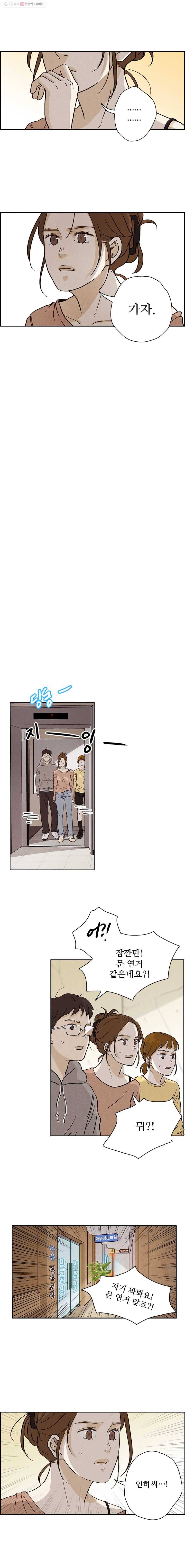 신랑이 사라졌다 6화 거짓말, 거짓말 3