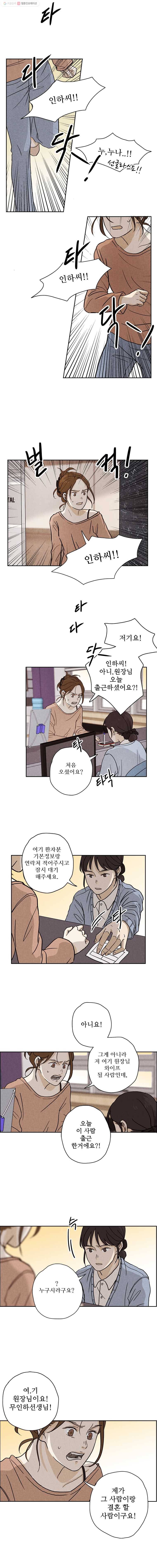 신랑이 사라졌다 6화 거짓말, 거짓말 4