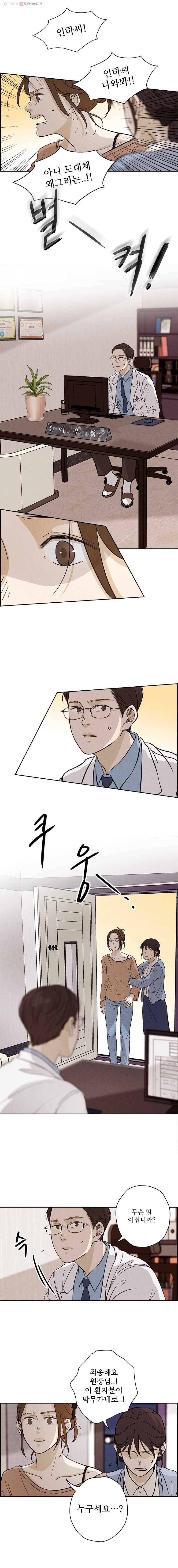 신랑이 사라졌다 6화 거짓말, 거짓말 6