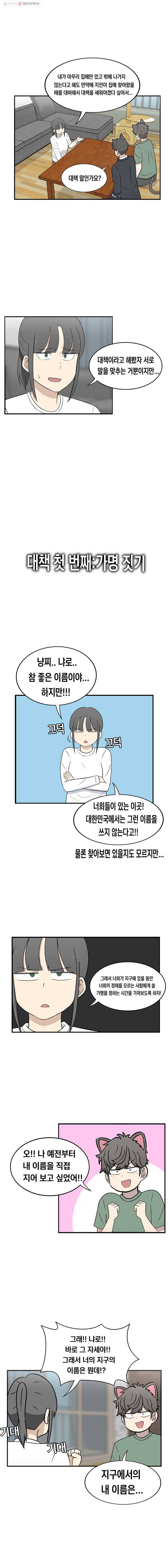 냥냐라냥냥 14.대책 4