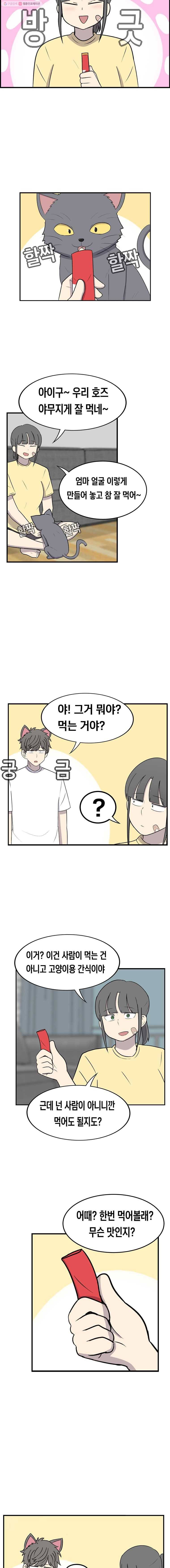 냥냐라냥냥 37.간식 4