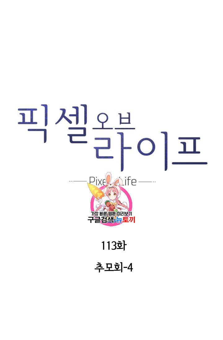 픽셀 오브 라이프 113화 1