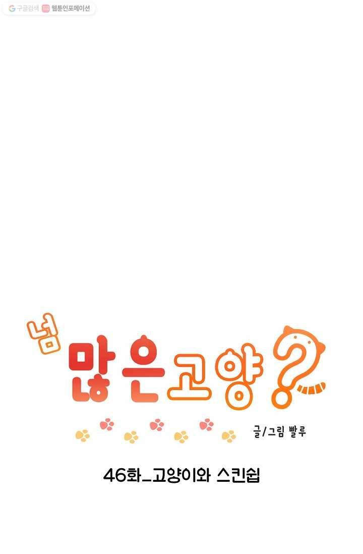 넘 많은 고양! 047화 1