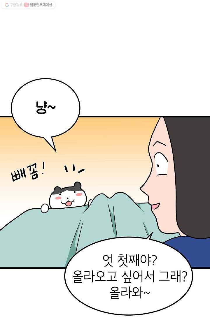 넘 많은 고양! 047화 2