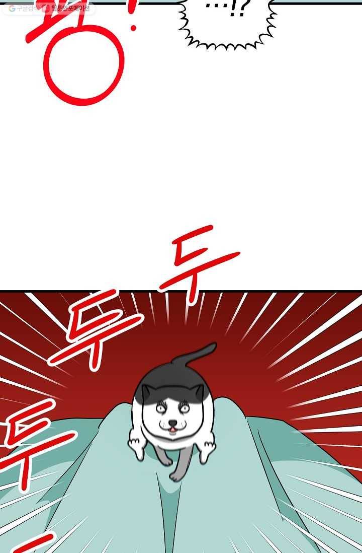 넘 많은 고양! 047화 4