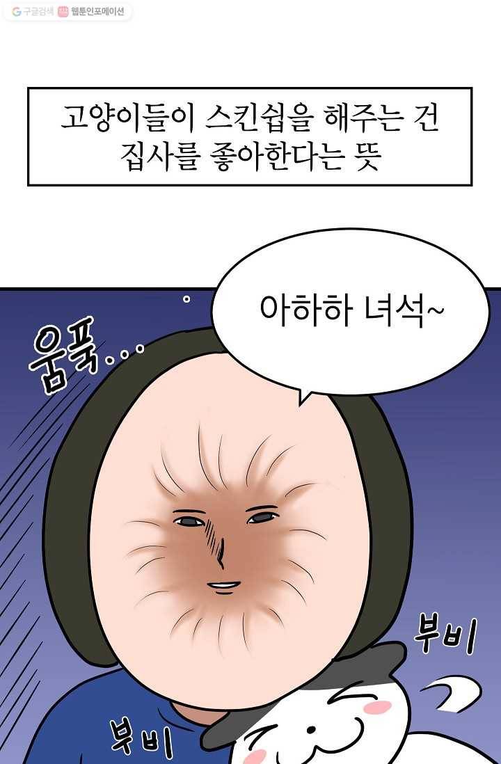넘 많은 고양! 047화 8