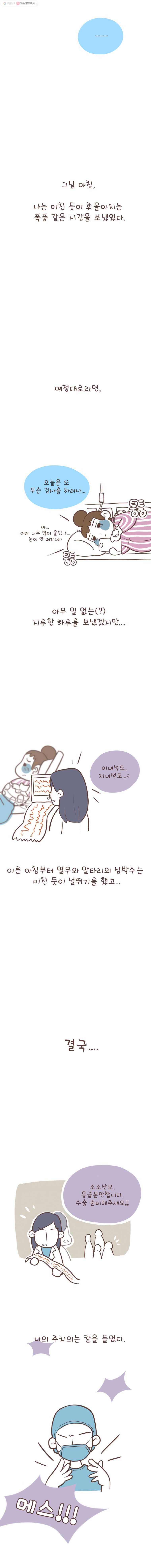 열무와 알타리 6화 발도장 3