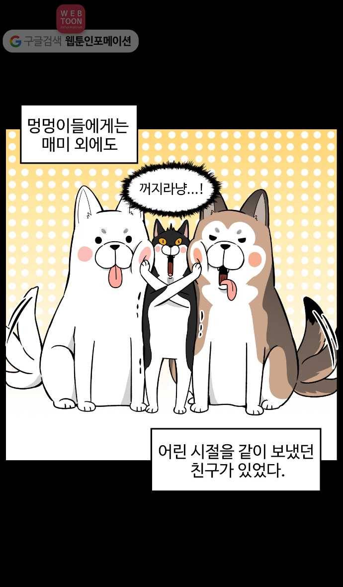 노곤하개 13화 멍멍이의 친구냥 2