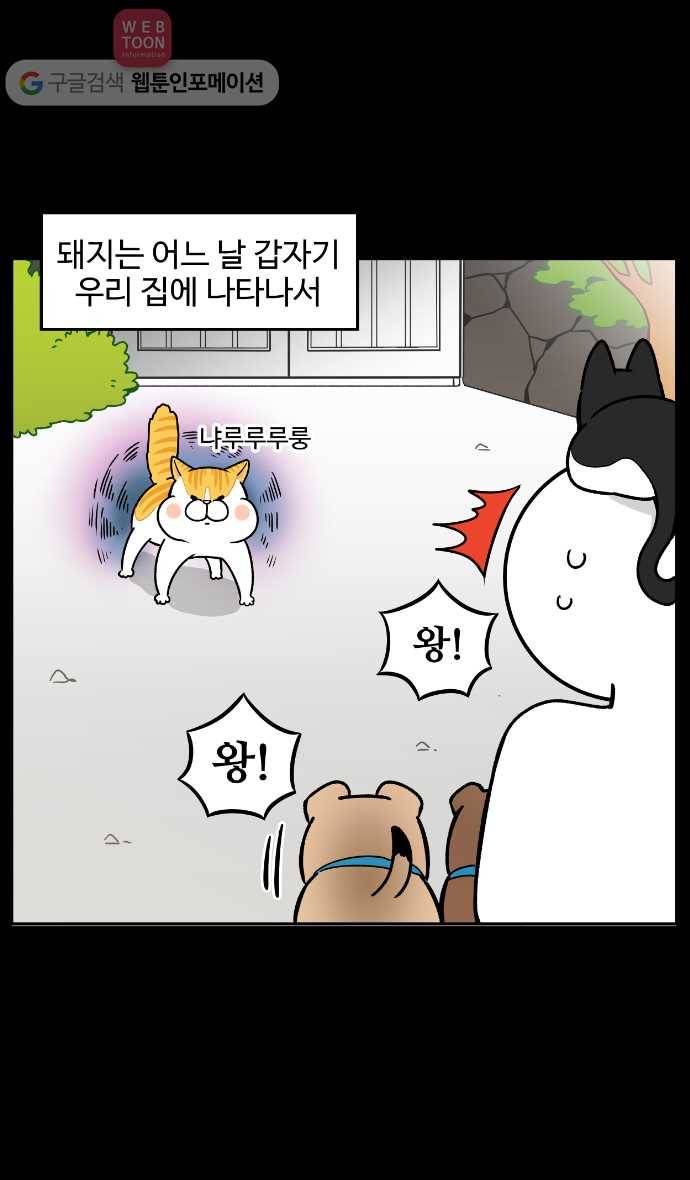 노곤하개 13화 멍멍이의 친구냥 4