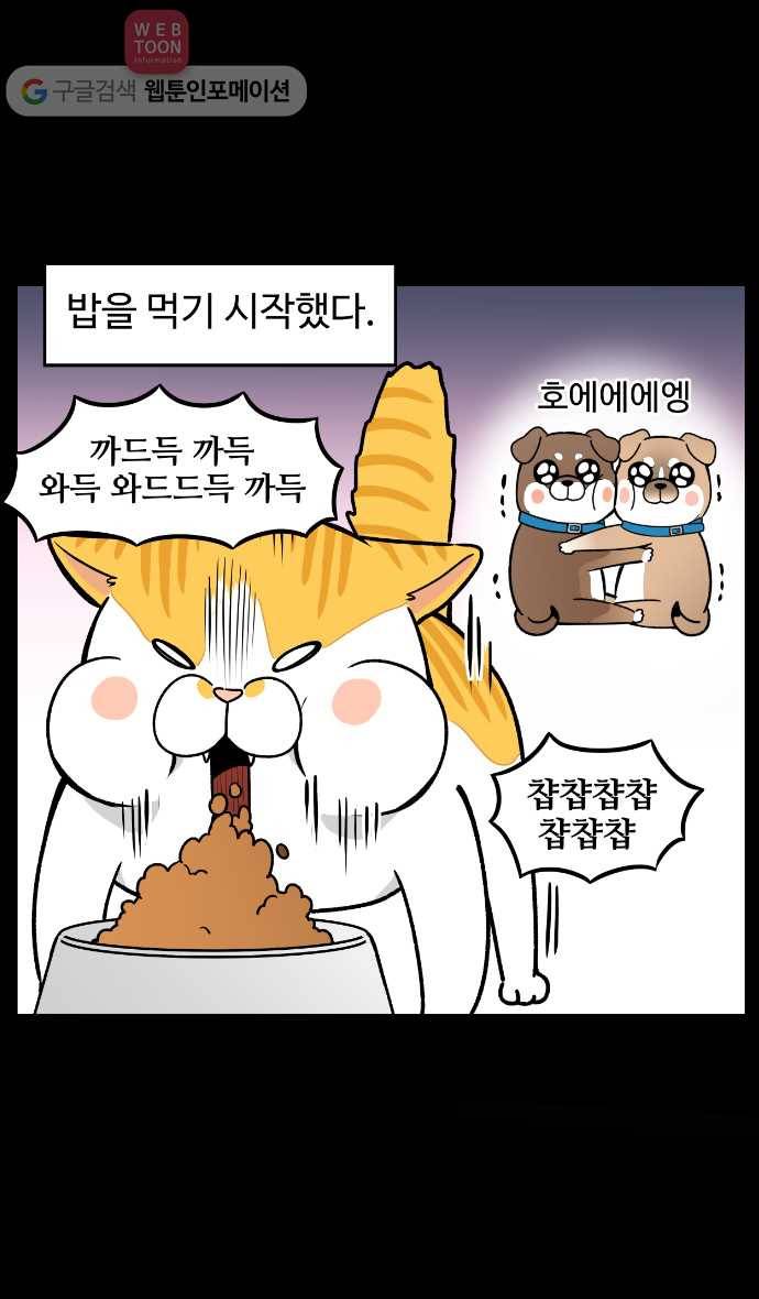 노곤하개 13화 멍멍이의 친구냥 5