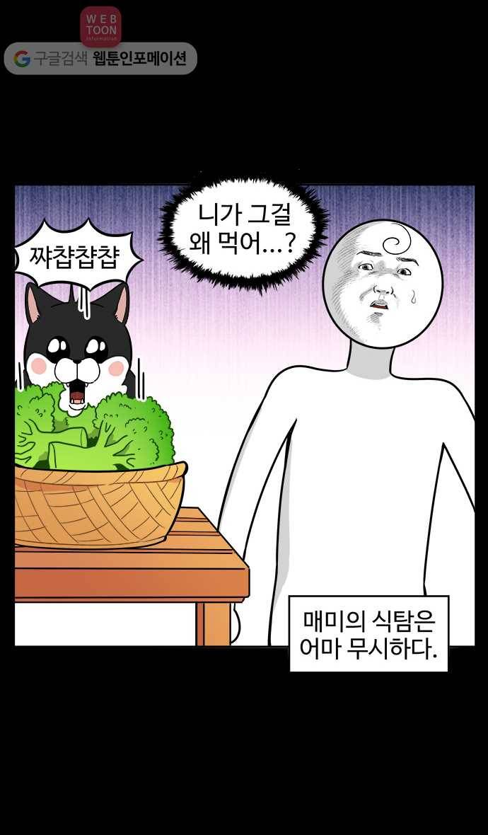 노곤하개 23화 매미의 먹성 4