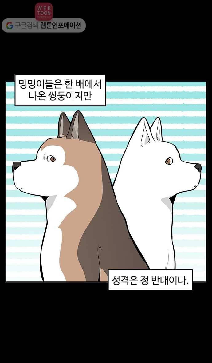 노곤하개 33화 멍멍이의 성격차 2