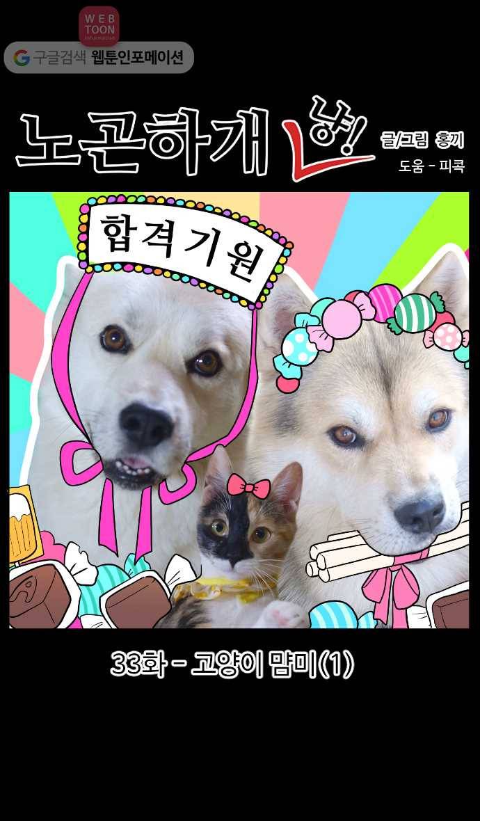 노곤하개 시즌2 33화 고양이 먐미 (1) 1