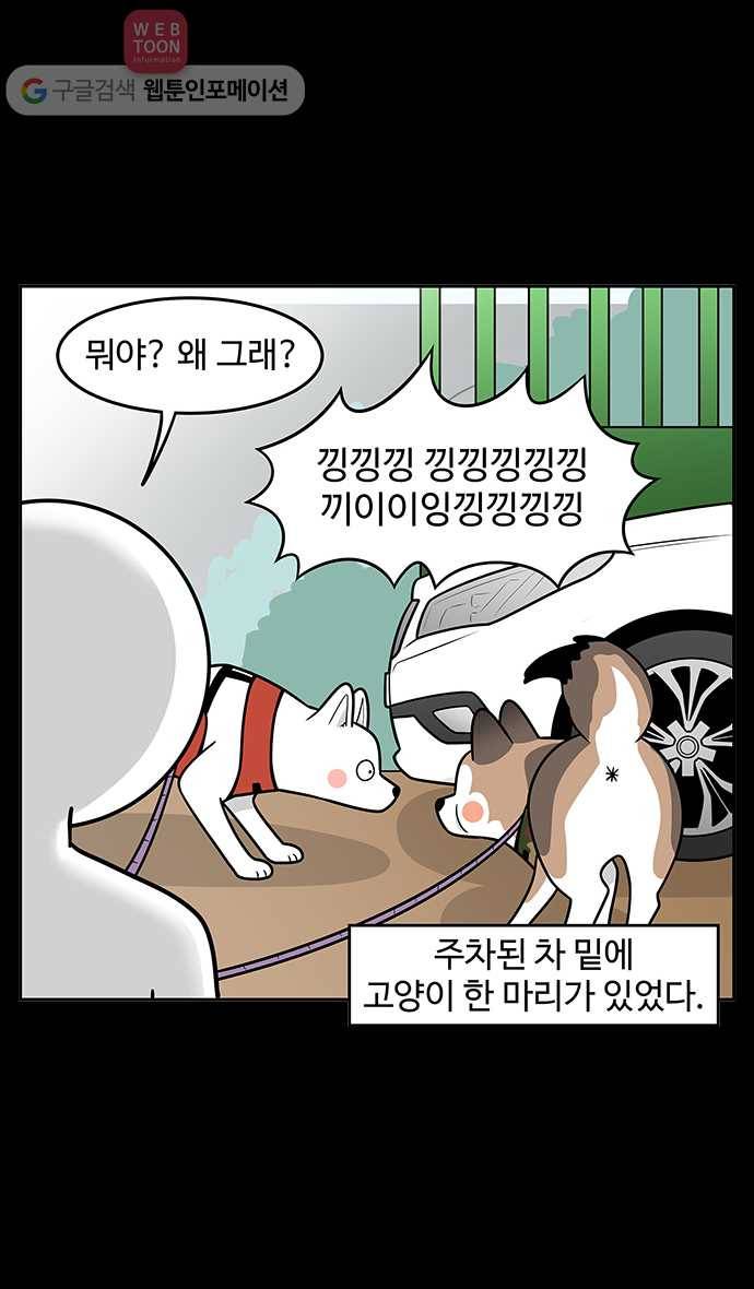 노곤하개 시즌2 33화 고양이 먐미 (1) 5