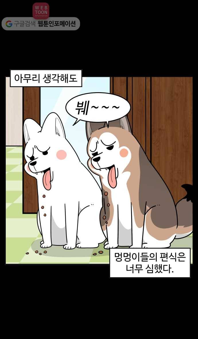 노곤하개 시즌2 77화 멍멍이들의 편식 (1) 2