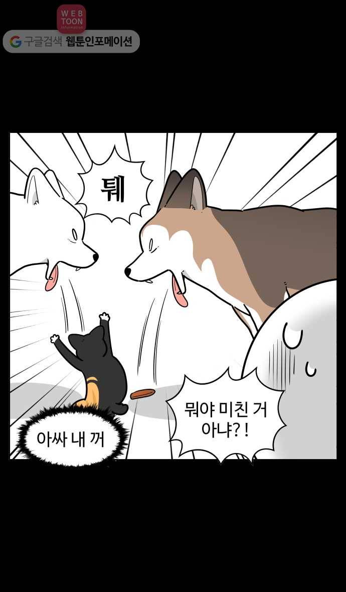 노곤하개 시즌2 77화 멍멍이들의 편식 (1) 5