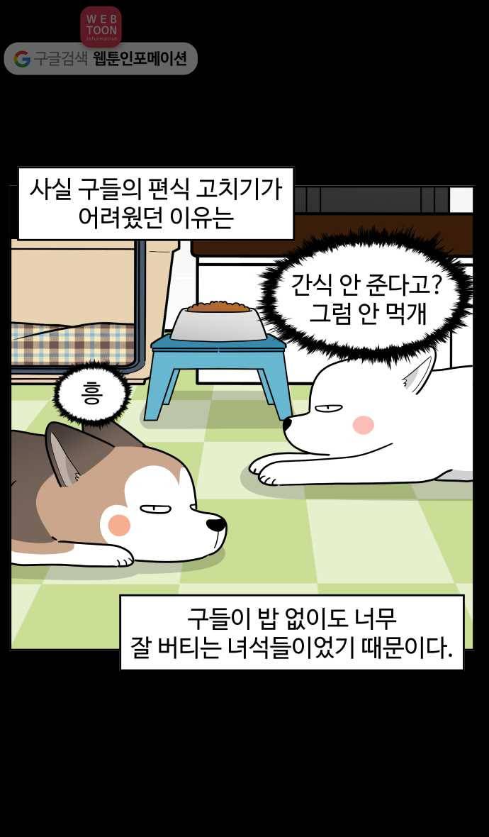 노곤하개 시즌2 77화 멍멍이들의 편식 (1) 8
