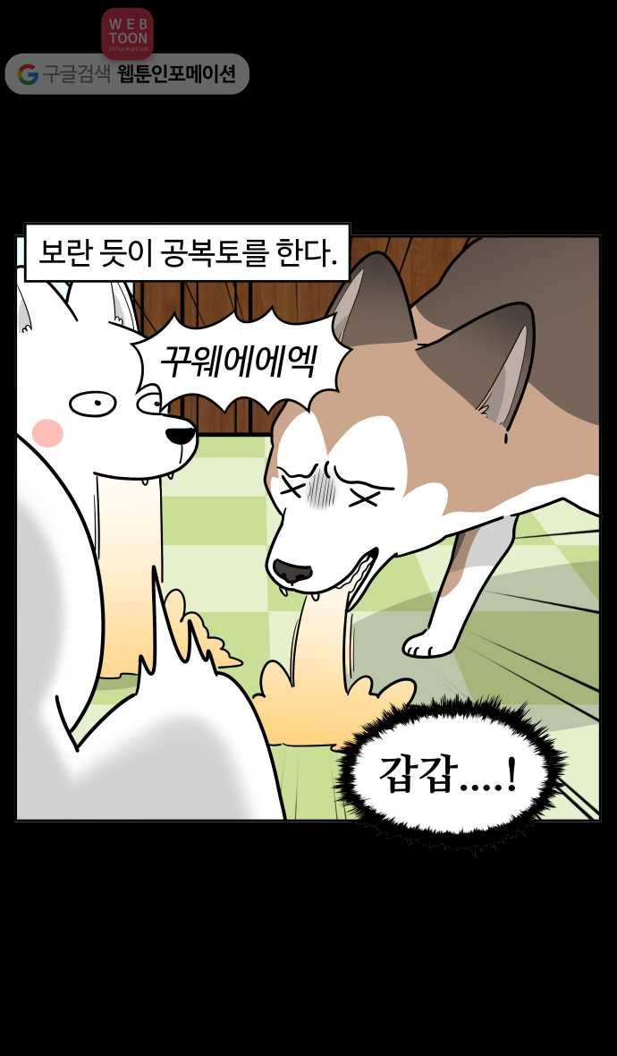 노곤하개 시즌2 77화 멍멍이들의 편식 (1) 10