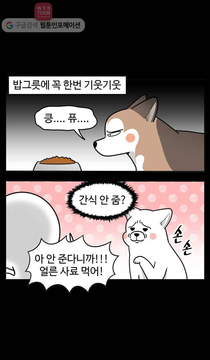 노곤하개 시즌2 77화 멍멍이들의 편식 (1) 12