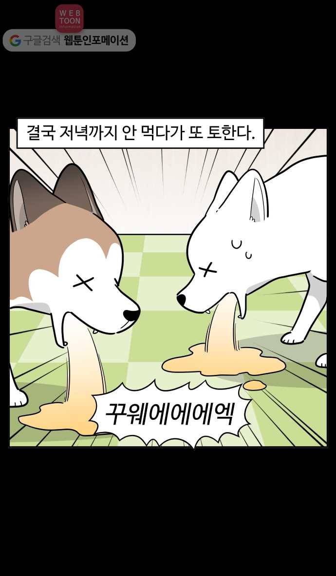 노곤하개 시즌2 77화 멍멍이들의 편식 (1) 13