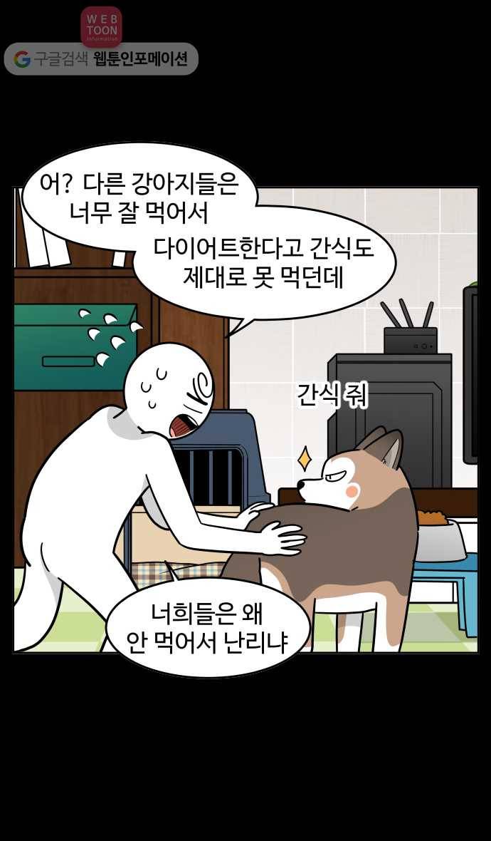 노곤하개 시즌2 77화 멍멍이들의 편식 (1) 14