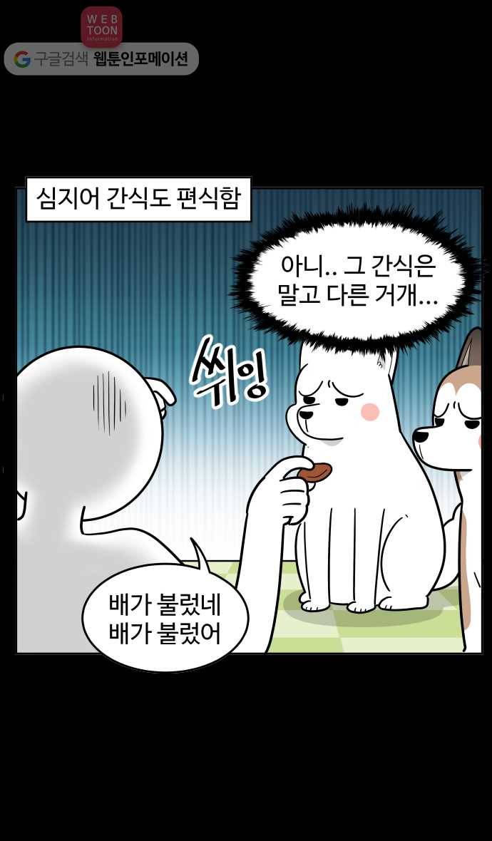 노곤하개 시즌2 77화 멍멍이들의 편식 (1) 15