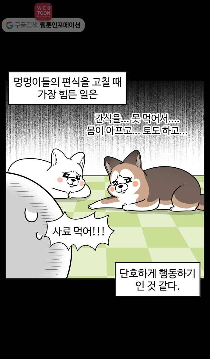 노곤하개 시즌2 77화 멍멍이들의 편식 (1) 19