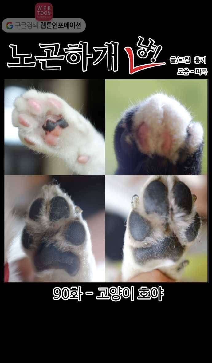 노곤하개 시즌2 90화 고양이 호야 1