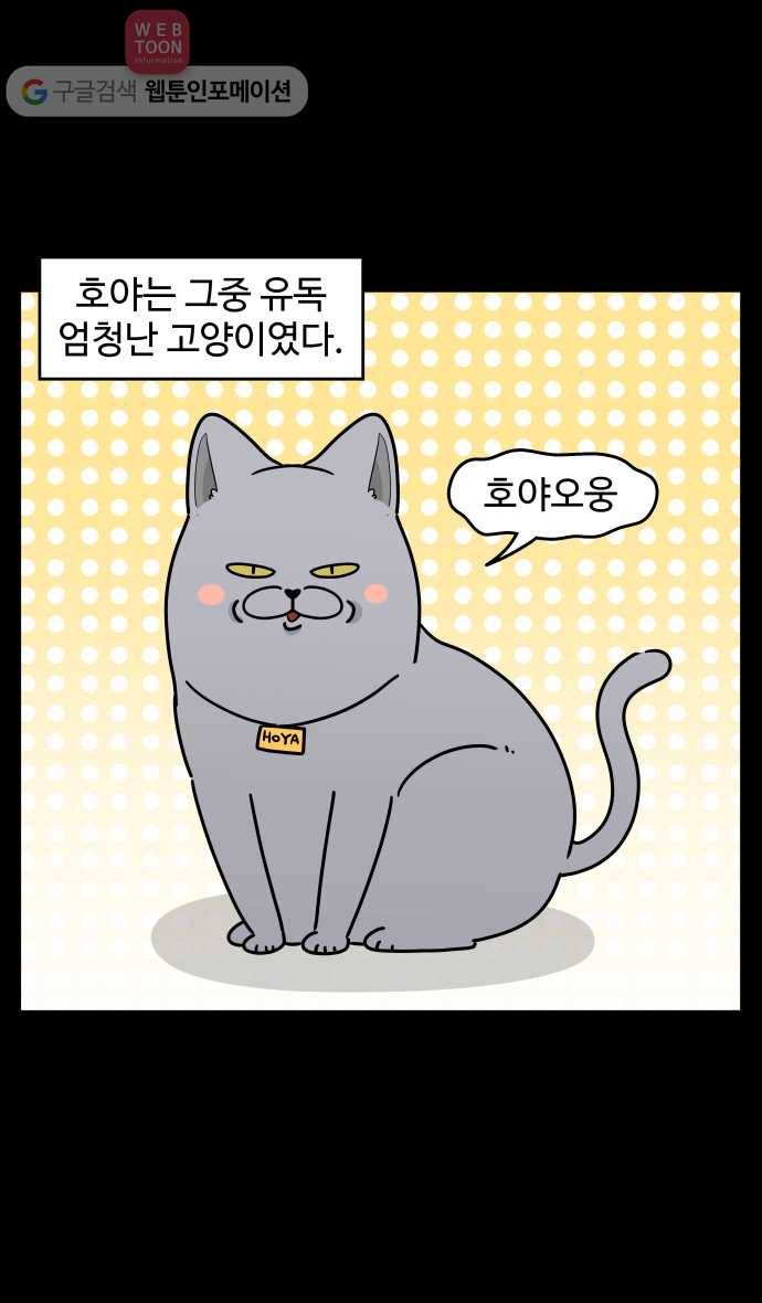 노곤하개 시즌2 90화 고양이 호야 4