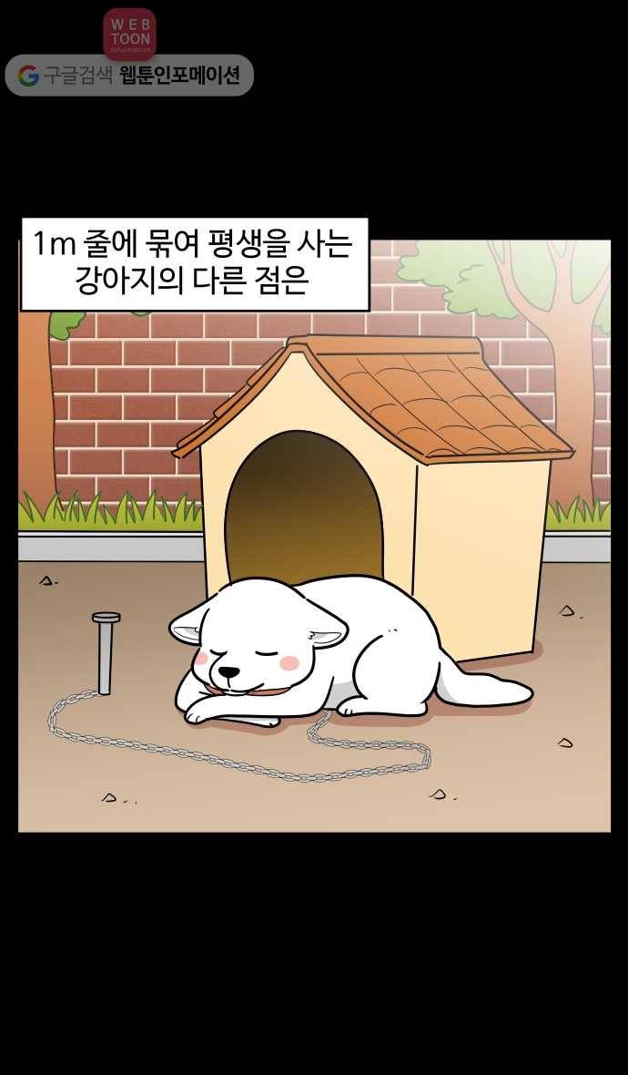 노곤하개 시즌2 98화 1미터의 삶 (2) 3