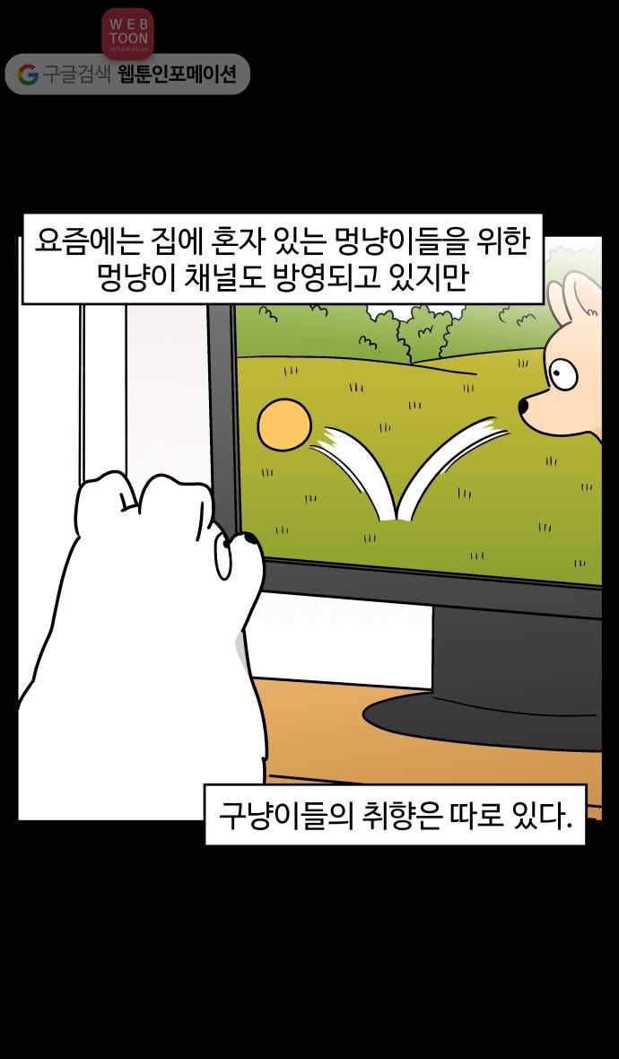 노곤하개 시즌3 36화 멍냥이와 티브이 3
