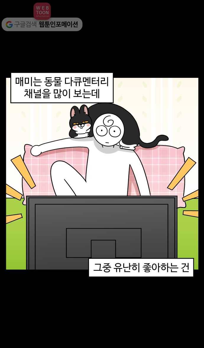노곤하개 시즌3 36화 멍냥이와 티브이 4