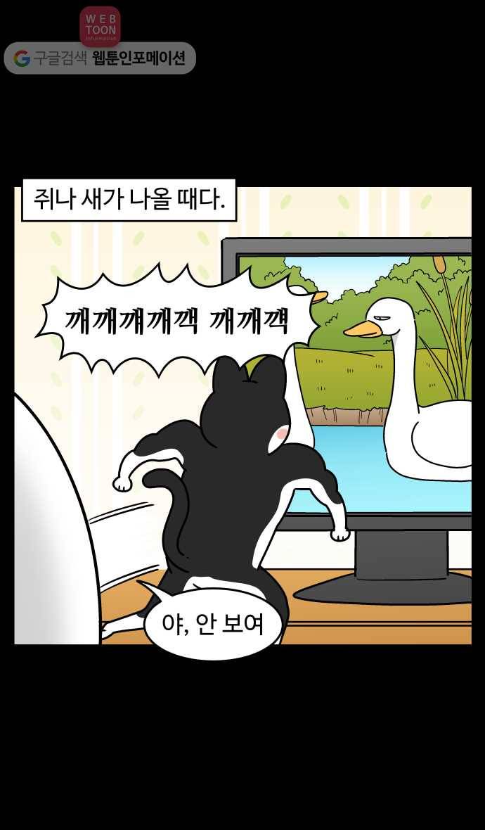 노곤하개 시즌3 36화 멍냥이와 티브이 5