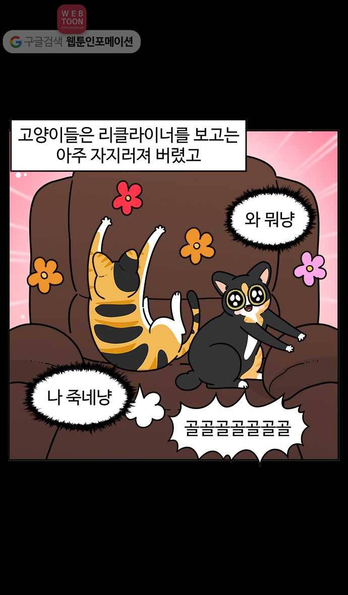 노곤하개 시즌3 46화 고양이와 가구 4