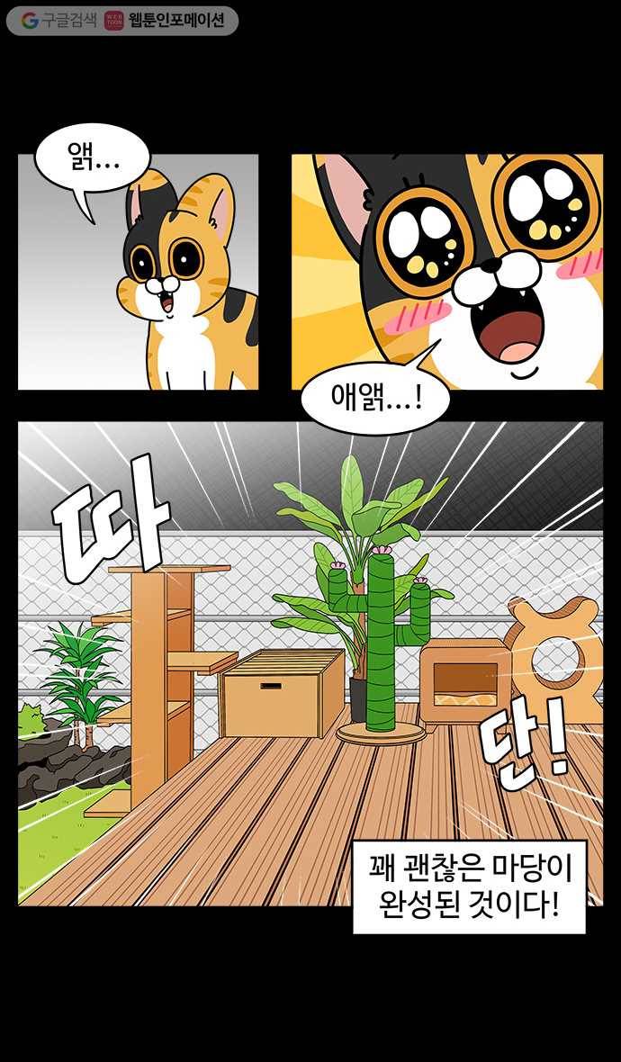 노곤하개 시즌4 4화 마당 꾸미기 (2) 4