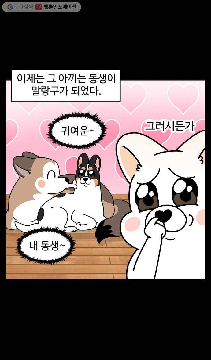 노곤하개 시즌4 12화 말랑구는 엄마를 닮았어 5