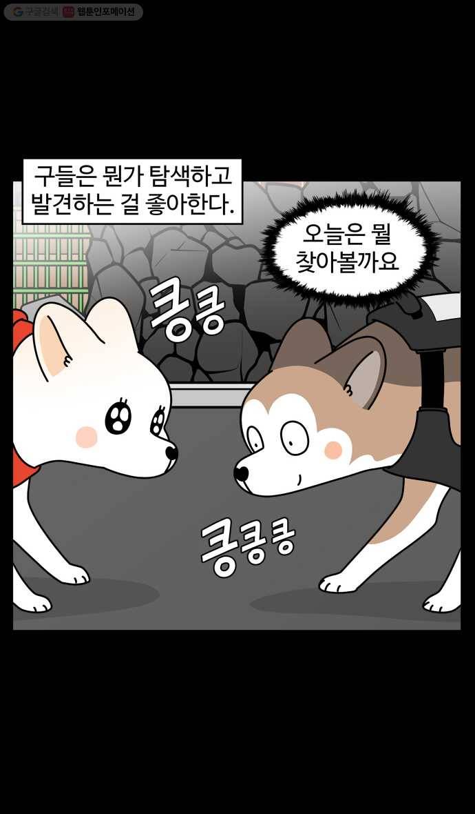 노곤하개 시즌4 19화 멍멍이와 탐색 2