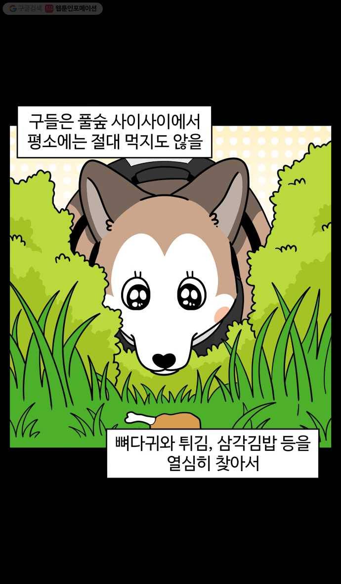 노곤하개 시즌4 19화 멍멍이와 탐색 3